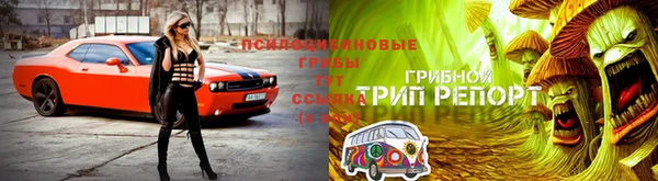 jwh Рославль
