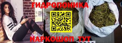 гашиш Гай