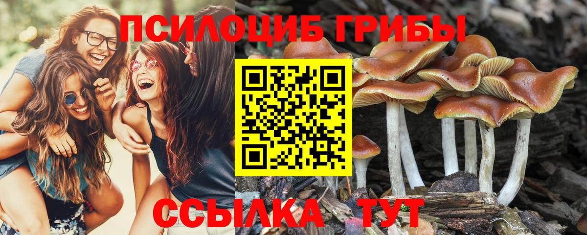 Галлюциногенные грибы MAGIC MUSHROOMS Елизово