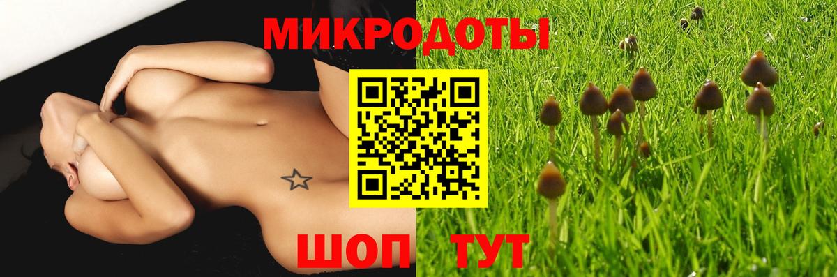 Галлюциногенные грибы прущие грибы  хочу   Елизово  Вход с VPN 