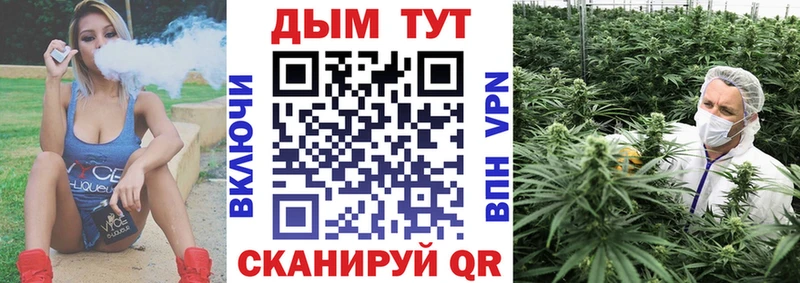 сколько стоит  Елизово  Конопля ГИДРОПОН 